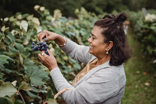 Beginner farmer using HiTerra app to learn farming practices