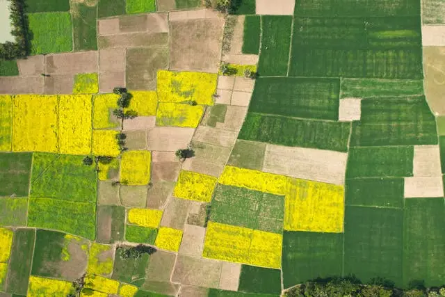 🏢 For Enterprises